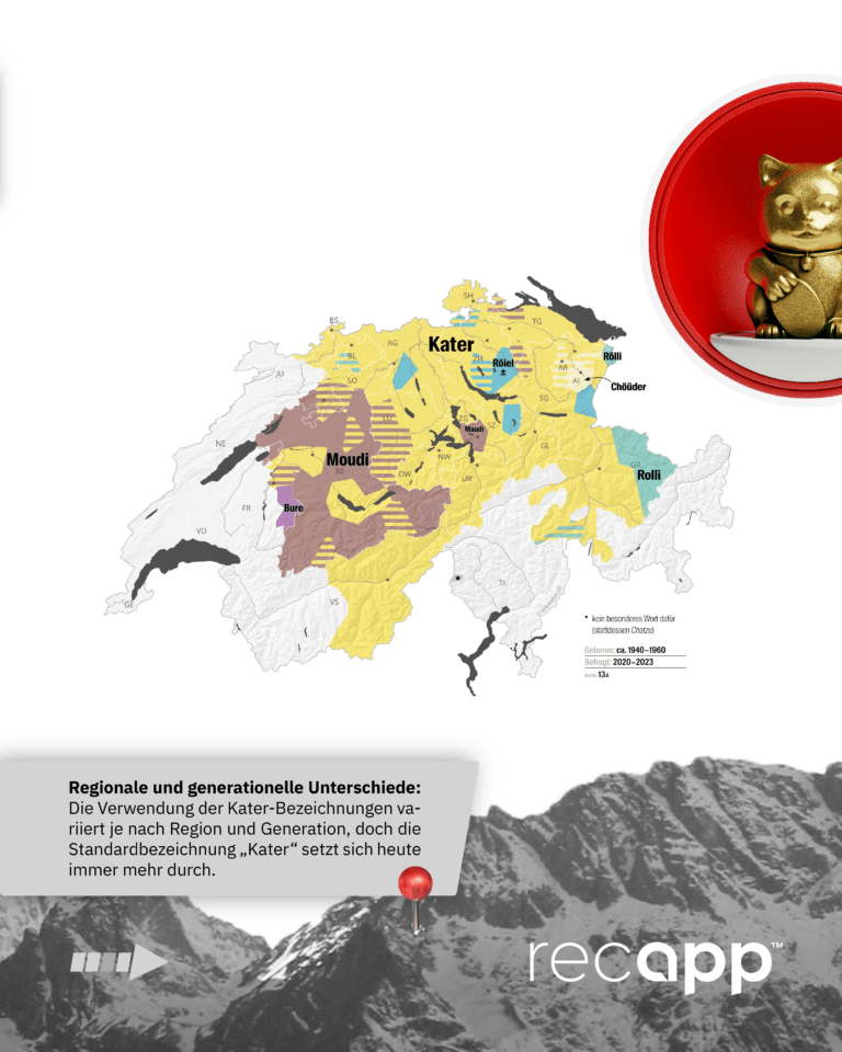 Bild_Kater oder Moundi_3