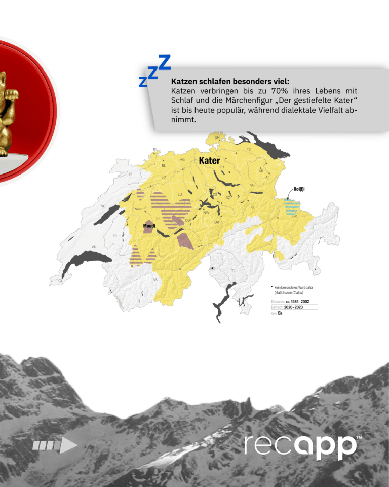 Bild_Kater oder Moundi_4
