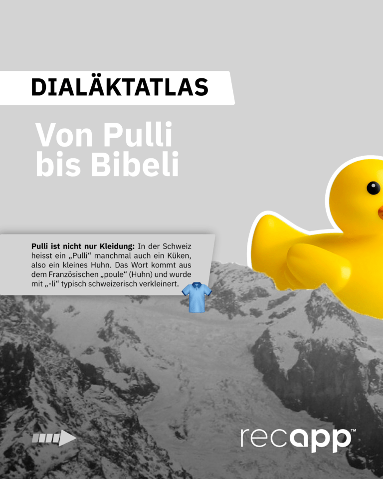 Bild_Pulli_bis_Bibeli_1