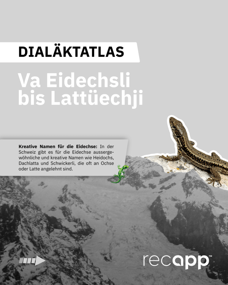 Bild_Vo Eidechsli bis Lattüechji_1