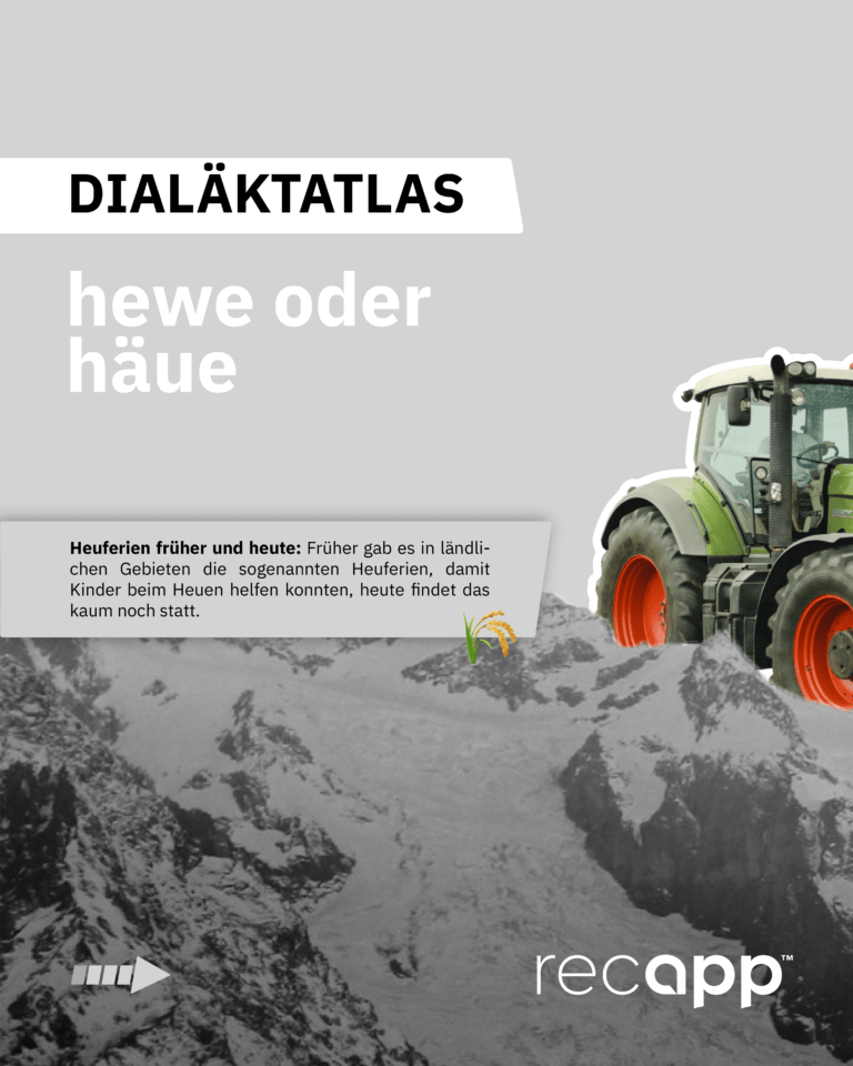 Bild_hewe oder häue_1